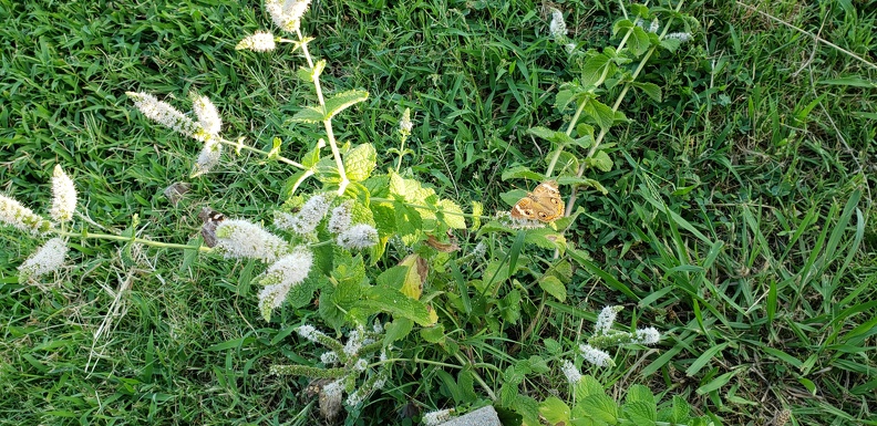 20230720_191012.jpg